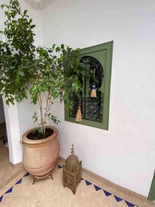 Abada Medina Marrakech 别墅